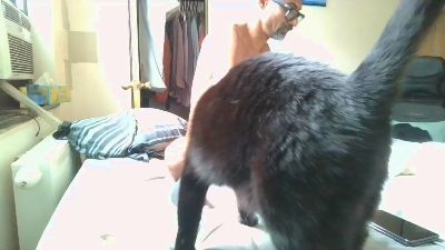 2connect420 — Cam4 stream photo (Jun 2026)