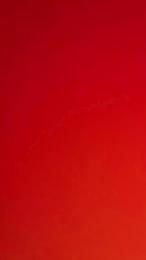 casinista1 — Cam4 stream photo (Mar 2026)