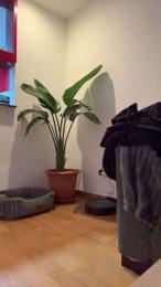 Xxl_1987 — modelo de webcam en línea en cam4