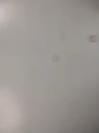 Alleinzuhause — stripchat