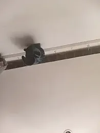 crisssalazar — Stripchat stream photo (Jul 2025)