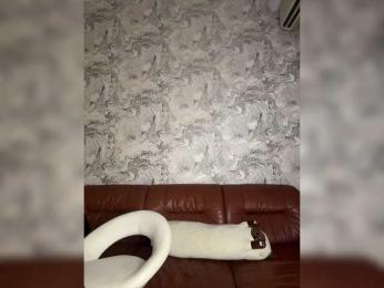 ---oTo-Toy--- — Bongacams stream photo (Aug 2026)