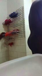 sexy3279 — modelo de webcam en línea en cam4
