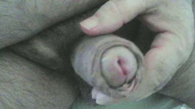 misterpica3 — Cam4 stream photo (Feb 2026)