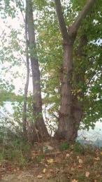 odidonc — Cam4 profile photo