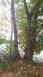 odidonc — Cam4 stream photo (Jul 2026)