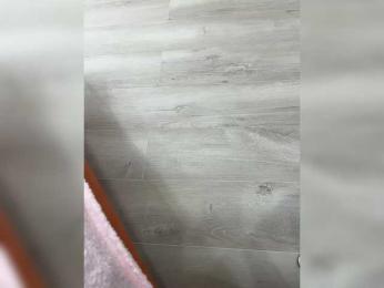 CuteKitty00 — Bongacams stream photo (Apr 2026)