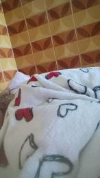 misteriosa84 — Cam4 stream photo (Mar 2026)