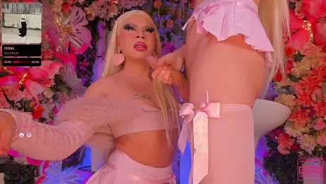 SpicySluts — Stripchat stream photo (Mar 2026)