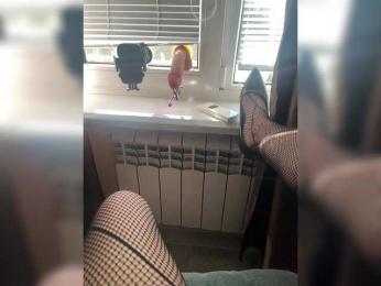 Gospoja_Julia — Bongacams stream photo (Aug 2026)