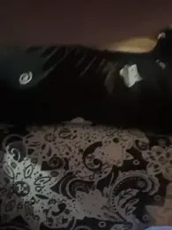 Samia-Love — stripchat
