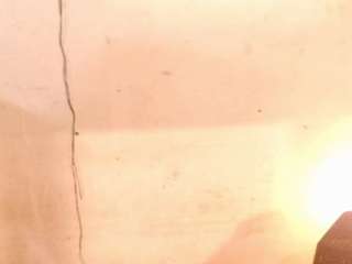 diablaardientex — Camsoda profile photo