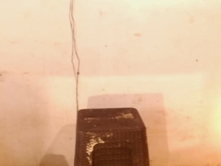 diablaardientex — modelo de webcam en línea en camsoda