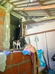 Hannah-grace — Stripchat stream photo (Nov 2025)