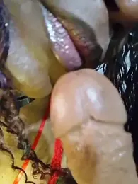 HonneyVictoria — Stripchat stream photo (Mar 2026)