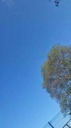 notarealman2025 — Cam4 stream photo (Apr 2026)