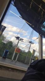 notarealman2025 — Cam4 stream photo (Apr 2026)