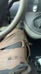 Bittchiz686868 — Cam4 stream photo (Apr 2026)