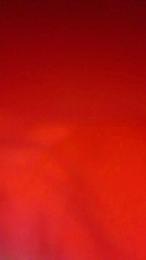 Stasera5 — Cam4 stream photo (Mar 2026)