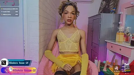 DakotaRosee — Stripchat stream photo (Mar 2026)