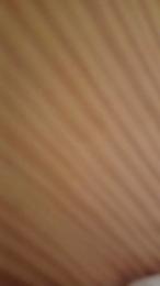 Trompa17 — Cam4 stream photo (Feb 2026)