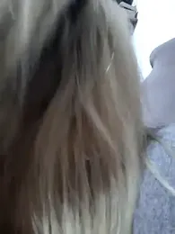 Dulceluz_420 — Stripchat stream photo (Jun 2025)