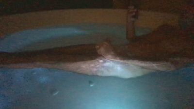 mattiapxxx — Cam4 stream photo (Apr 2026)