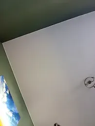 blackhotpartyts — Stripchat stream photo (Mar 2026)