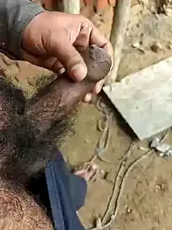 Bigcock_indianboy — stripchat