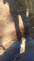 wolfi80 — modelo de webcam en línea en cam4