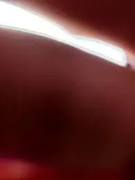 Fox_Roxxan — Stripchat stream photo (Apr 2026)