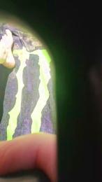 1naughtyboy — Cam4 profile photo