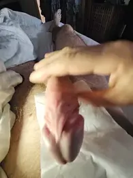 cum_daily1 — Stripchat stream photo (Aug 2026)