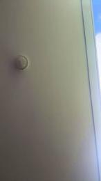 darklunasexy — Cam4 stream photo (Aug 2026)