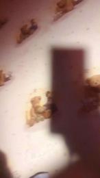 Dddd564 — modelo de webcam en línea en cam4