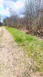 Legtiste — Cam4 stream photo (Apr 2026)