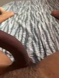 evertonxavier26 — Stripchat stream photo (Feb 2026)