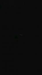 pucipuci — Cam4 stream photo (Mar 2026)