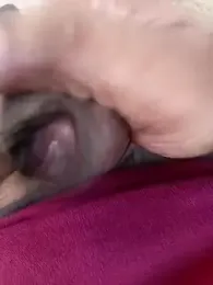 DK_9396 — Stripchat profile photo