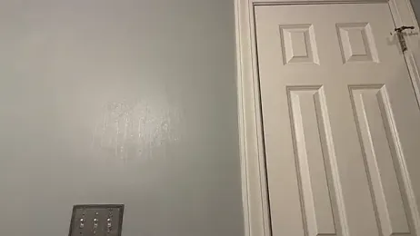 TrndSettr — stripchat