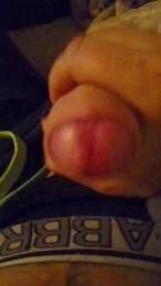 Longobig — Cam4 stream photo (Feb 2026)