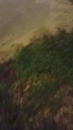Tmoney1995 — Cam4 stream photo (Jun 2026)