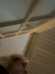 torilux — Stripchat stream photo (Feb 2025)
