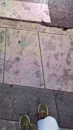 DePamplona — Cam4 stream photo (May 2025)