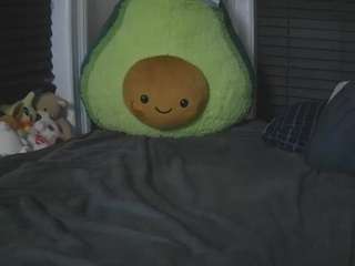 sapphirestorm8 — Camsoda profile photo