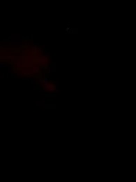 FeloBad — Stripchat stream photo (Jul 2026)
