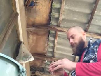 tralalabala — modelo de webcam en línea en chaturbate