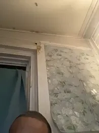 bcthebest — Stripchat stream photo (Sep 2026)