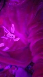 Sophiestar735 — modelo de webcam en línea en cam4