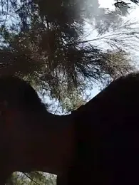 Thee_Biggest — Stripchat stream photo (Aug 2026)